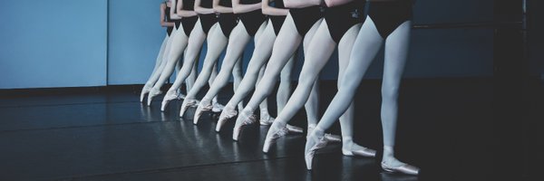 INBalletConserv Profile Banner
