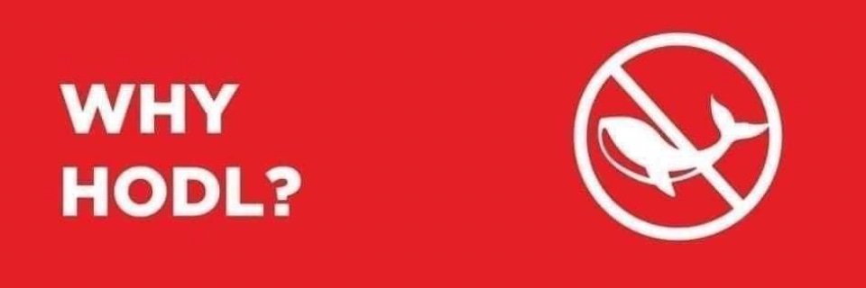 OneBragga's profile banner image