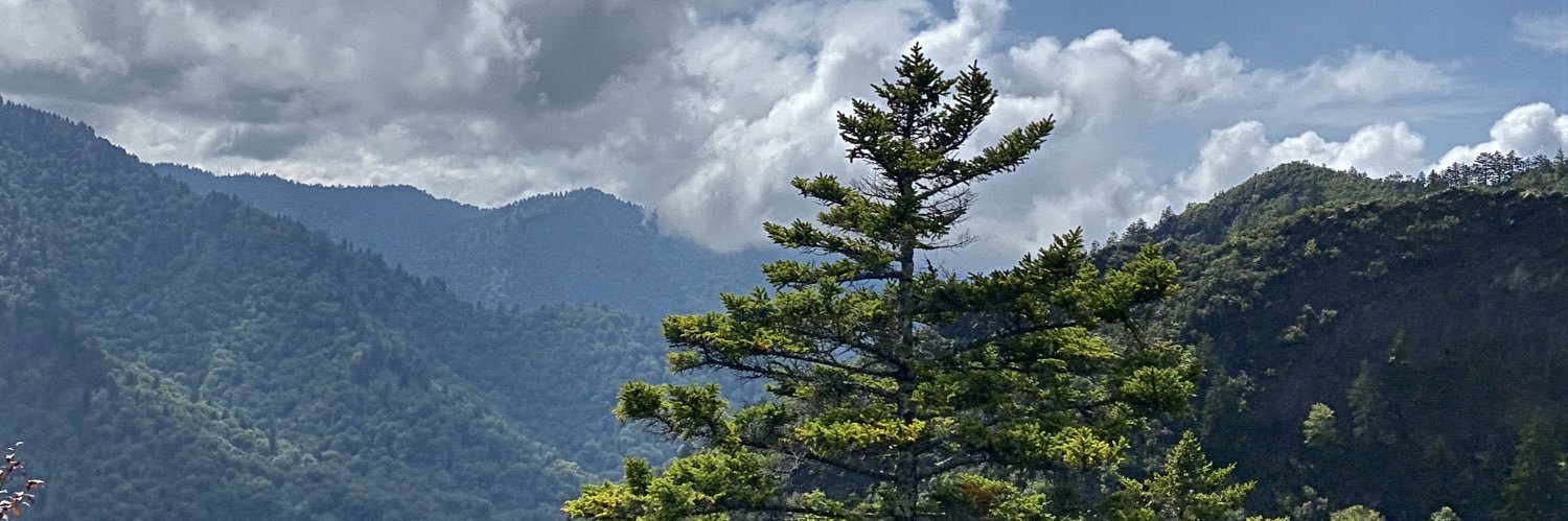 amyjarm's profile banner image