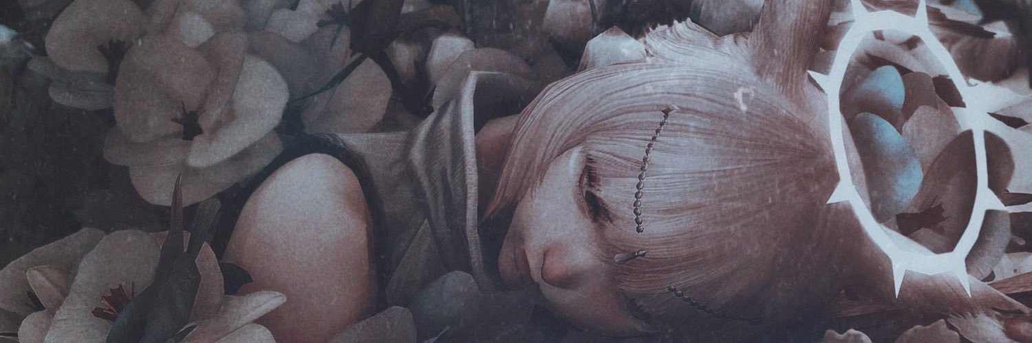 s.'s banner