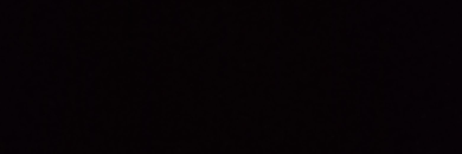 rosebudAv's profile banner image