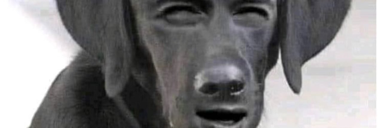 pinnowmiranda1's profile banner image