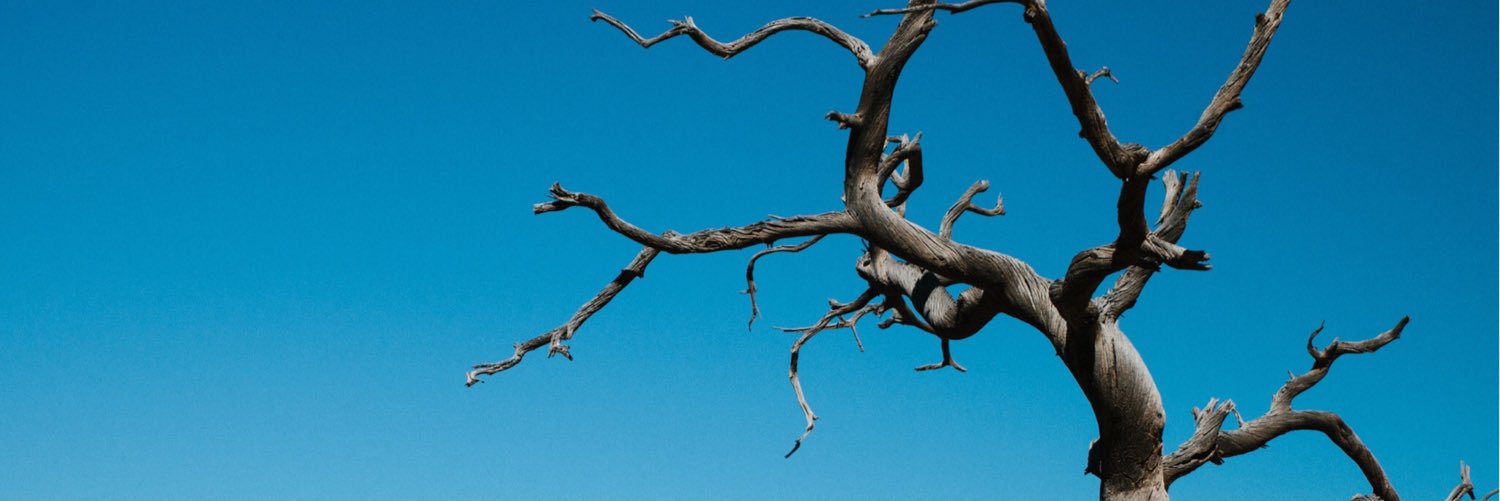 DrSuess's profile banner image