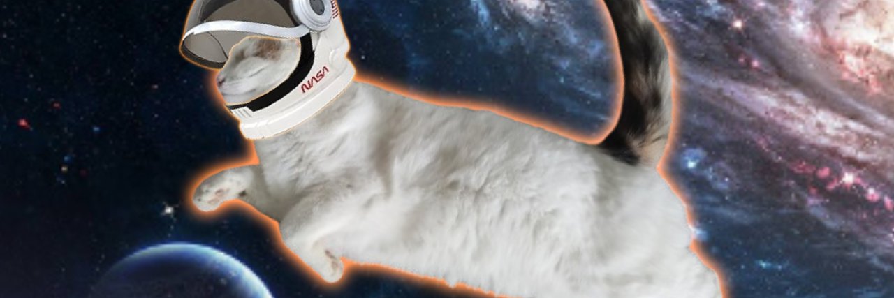 HowToWP's profile banner image