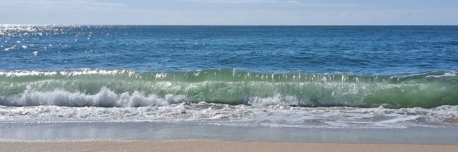 Rodrigo Martins banner
