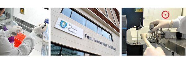 insigneo Profile Banner