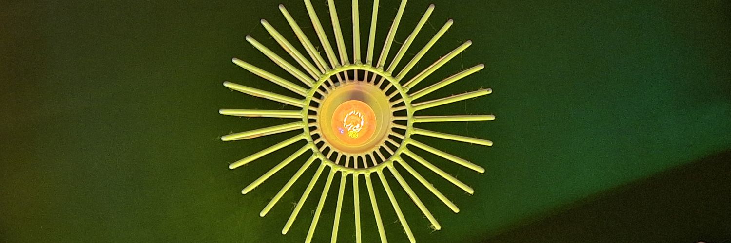 zanyer_'s profile banner image