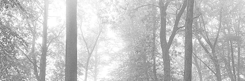 LoreCapo's profile banner image