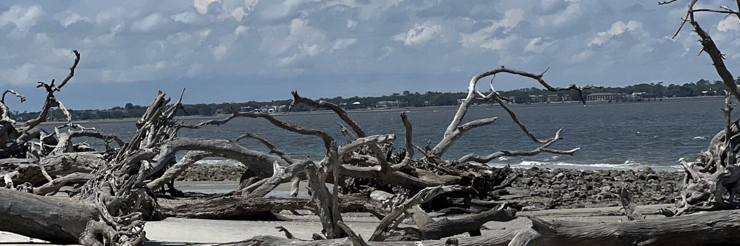 MsHeatherEw's profile banner image