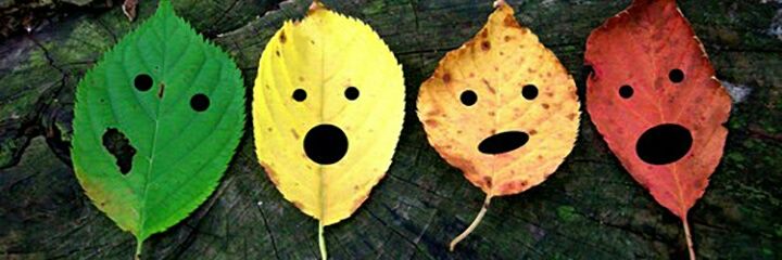 CarmenLellen's profile banner image
