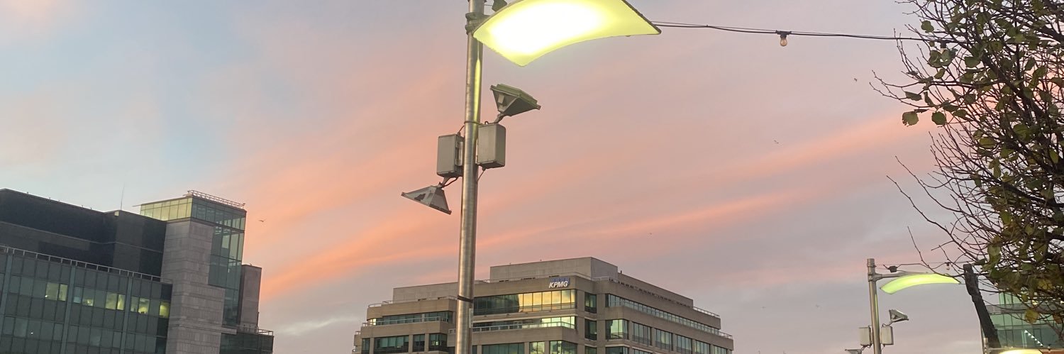 carmen 🧚🏼🪱 banner