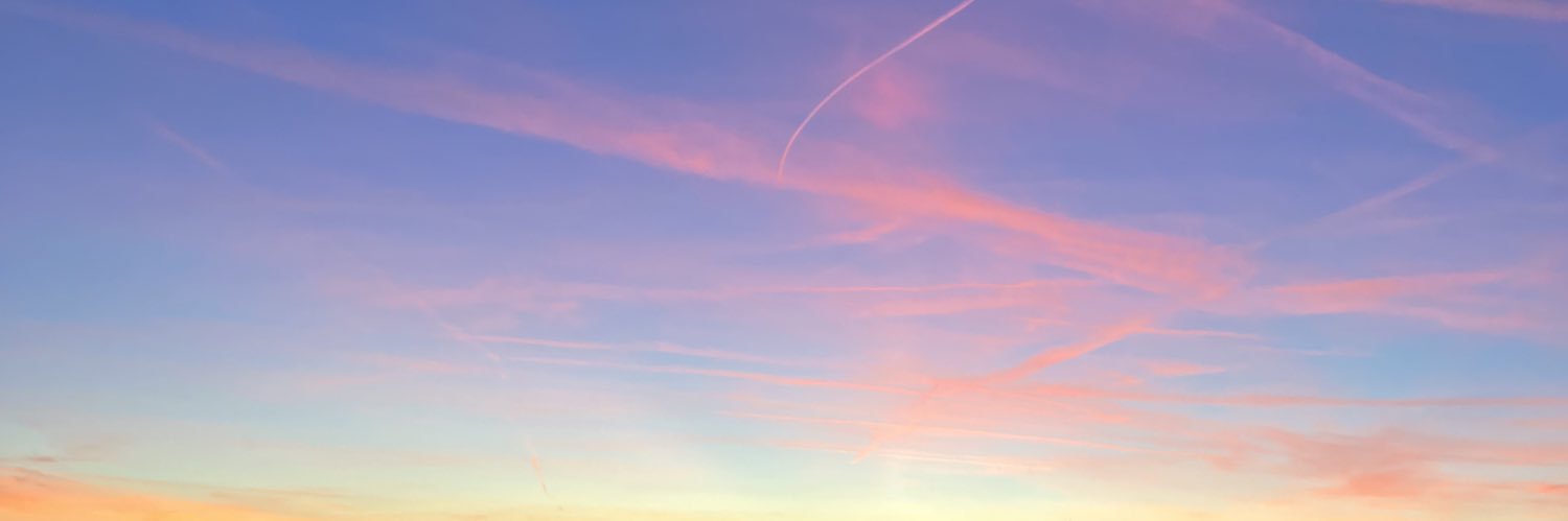 ZLR7007 banner