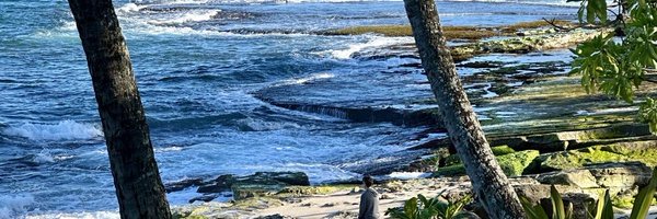 RiceZebediah Profile Banner
