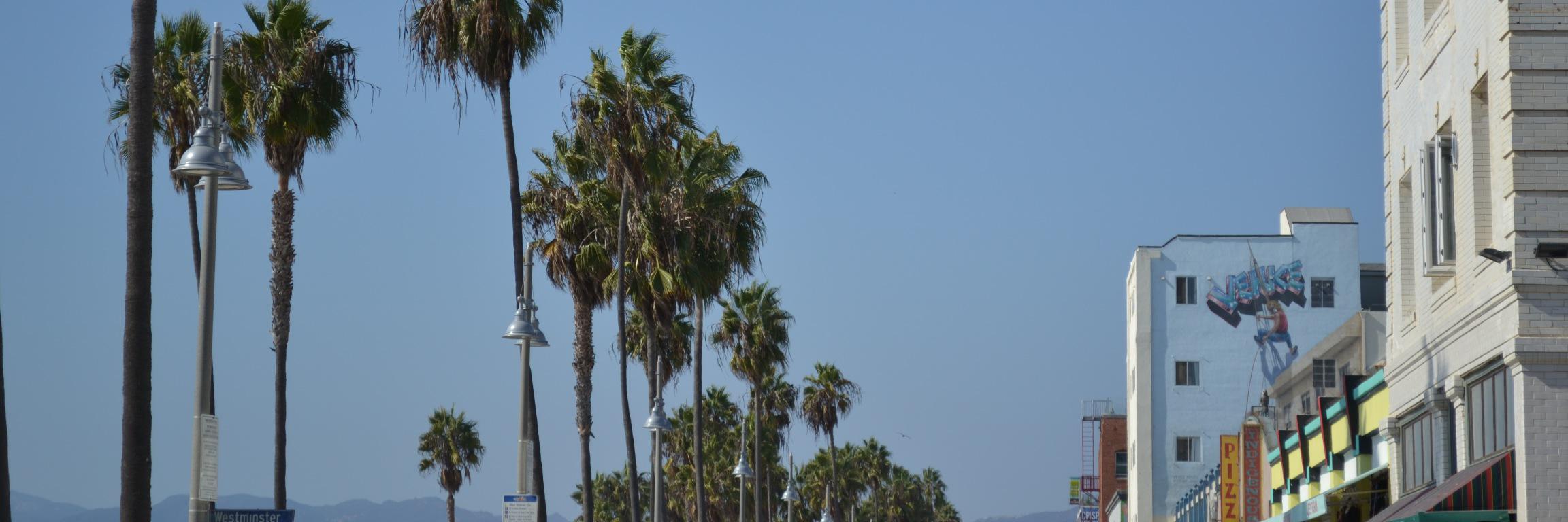 Esty911's profile banner image
