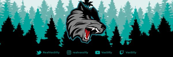 RealVasSilly Profile Banner