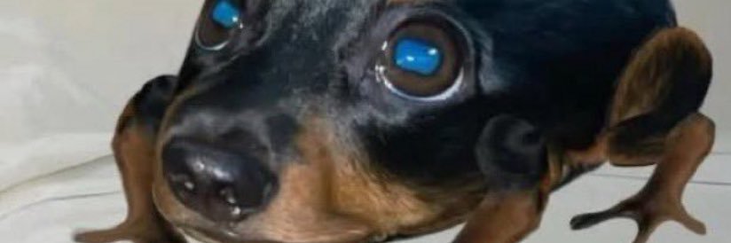 gabzsx's profile banner image