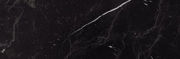 DrFrancescaZampollo banner