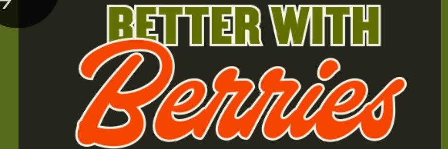 WildBerries234 🫐 banner