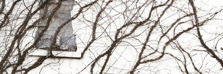 vaginalvoodoo banner