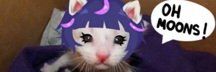 CEtecharte's profile banner image