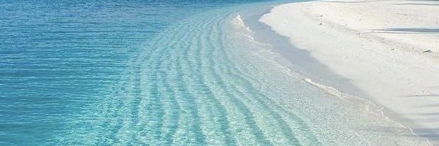 ? Traditional Liberation ∞⇌ Standards & Design ¿ banner