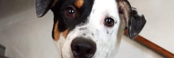 NFautch Profile Banner