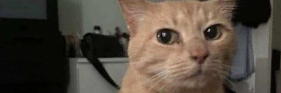 MatiiasE's profile banner image