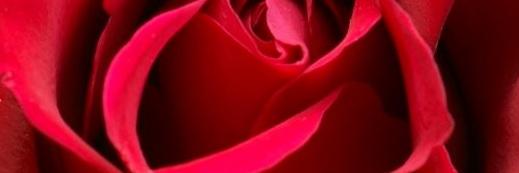 CharityCheers's profile banner image