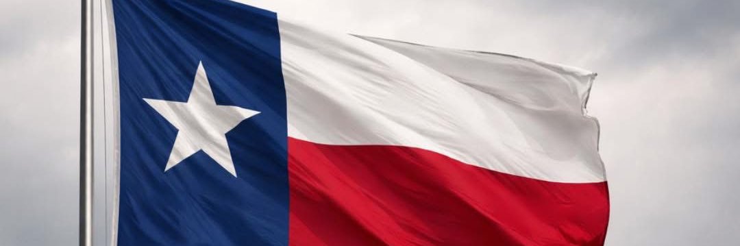 Will In Houston banner