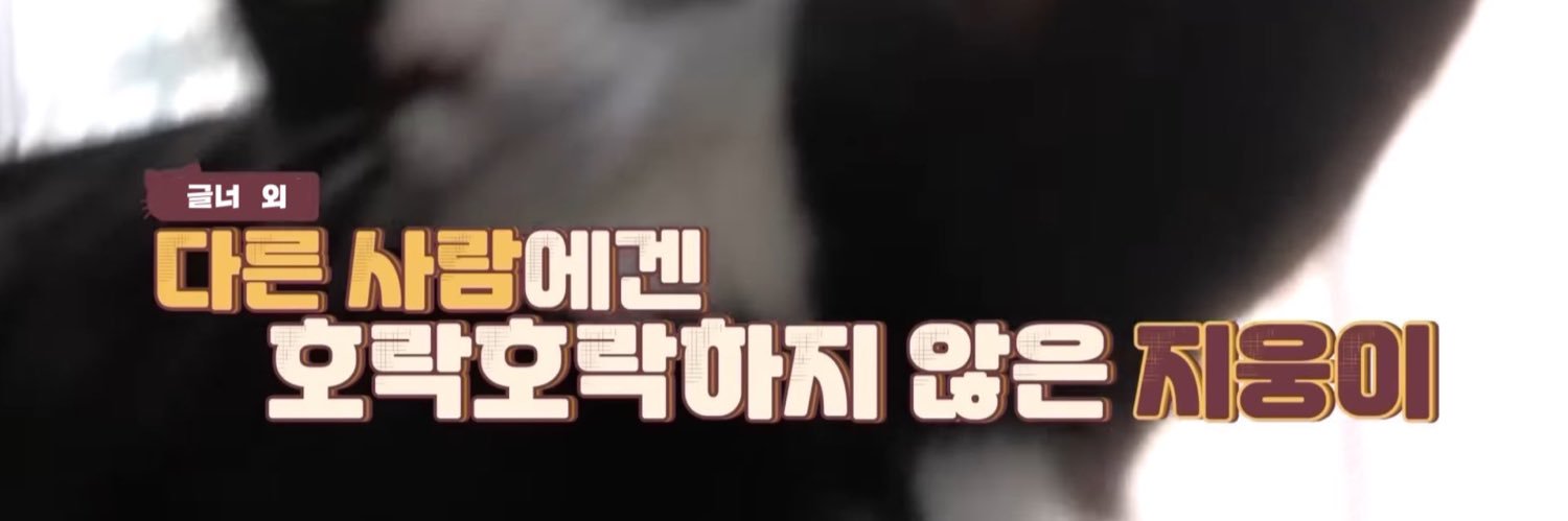 글너 ฅ˒˒ 🪤 banner