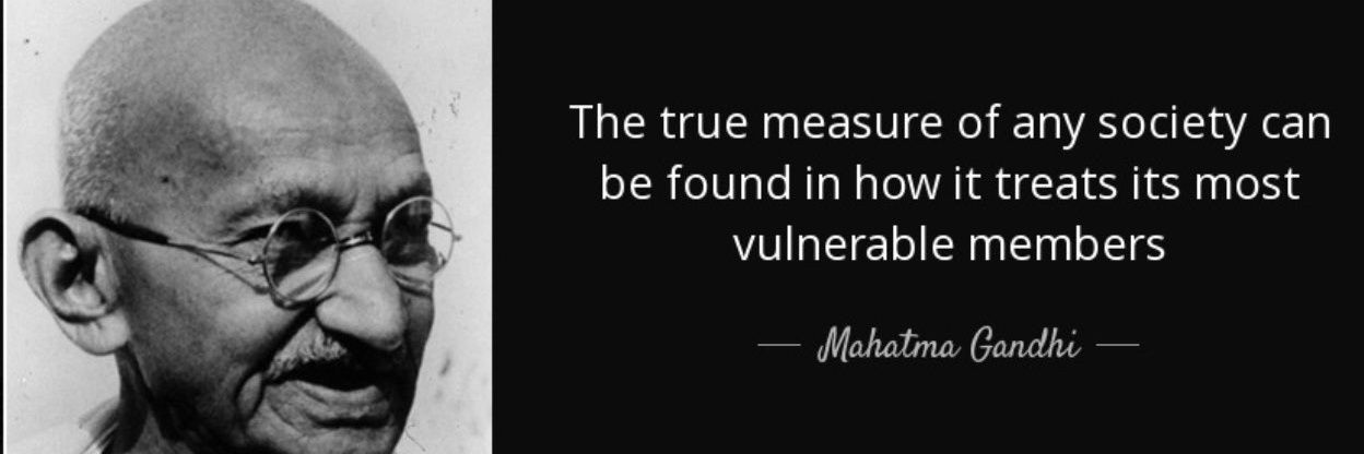 Cattle Dog 🐕🐾💜 banner