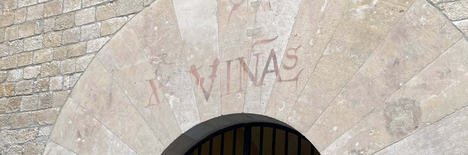 AriVinasMD's profile banner image