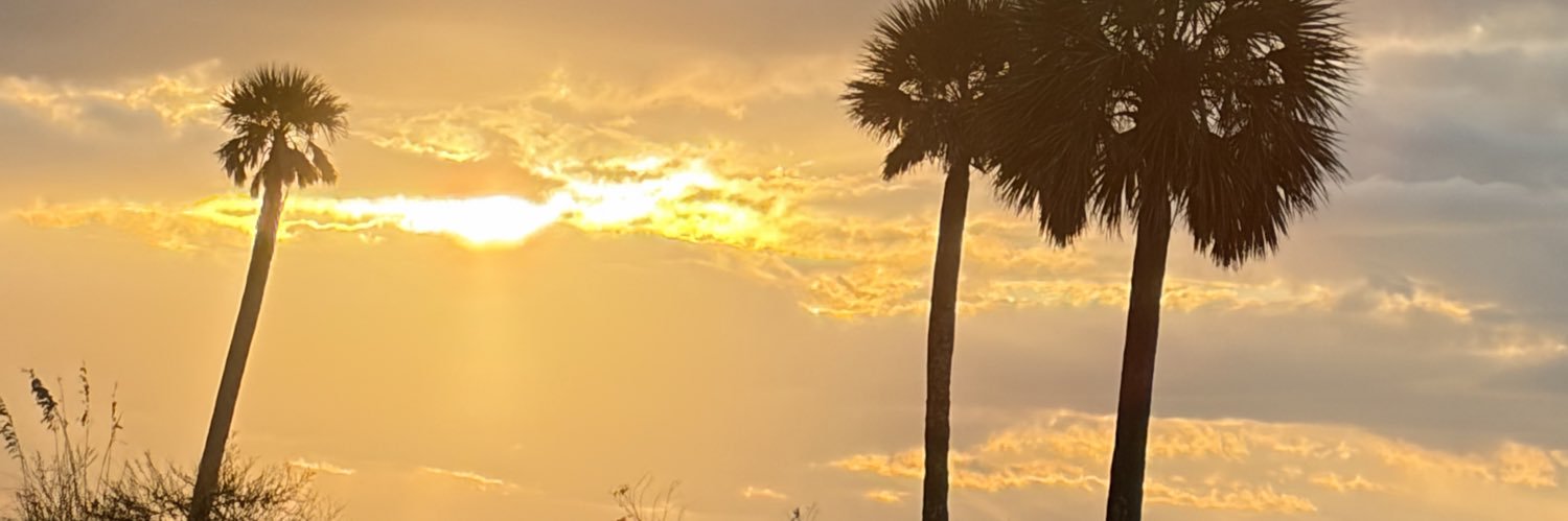 Black Goth 🐈‍⬛✝️ 🏳️‍🌈 banner