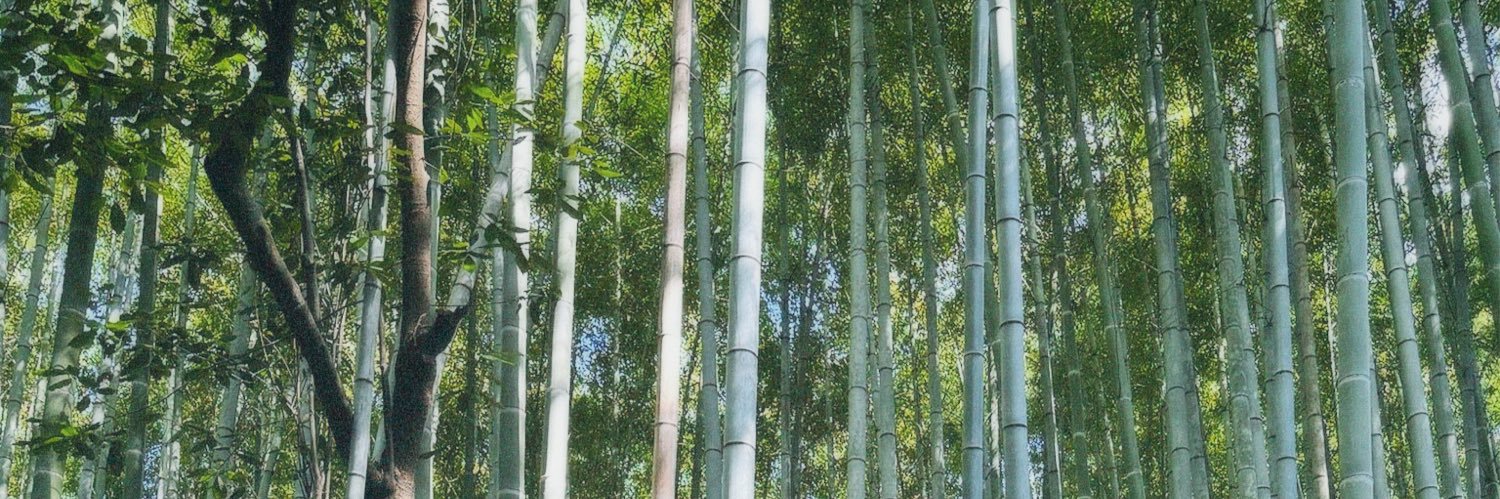 hollice banner