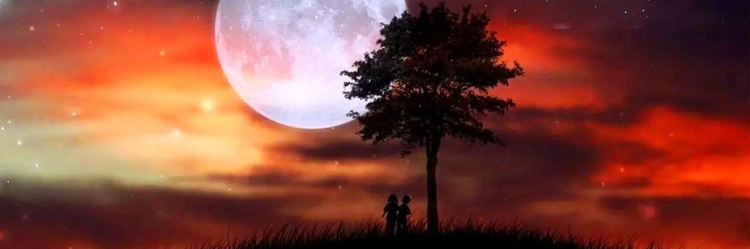Mryoe11's profile banner image