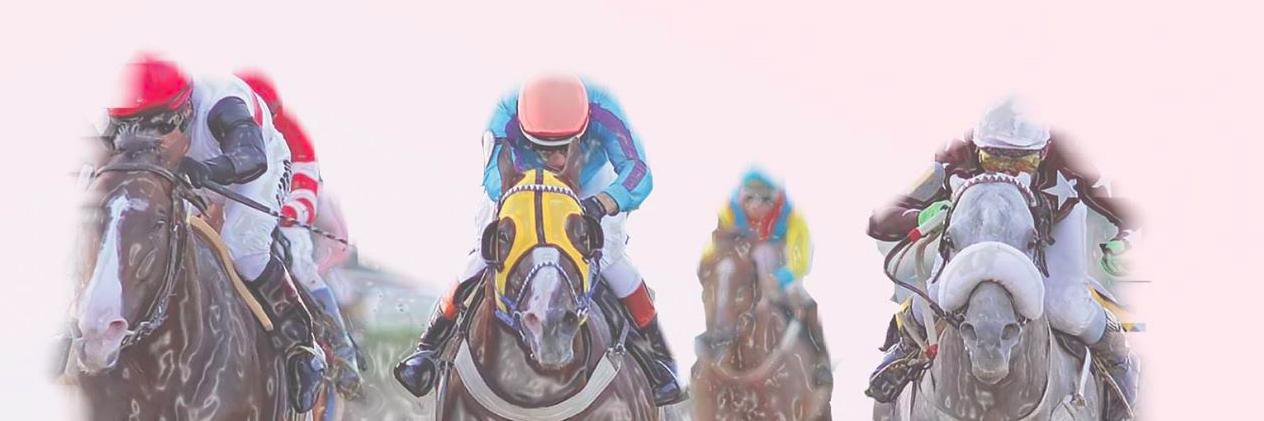 Revista Palermo banner