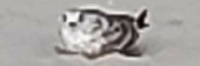 thatchaoticguy_'s profile banner image