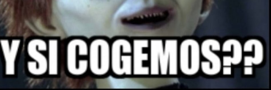 Elvaqueroperr's profile banner image