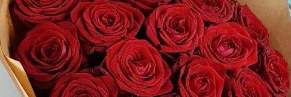 pattersonv9's profile banner image