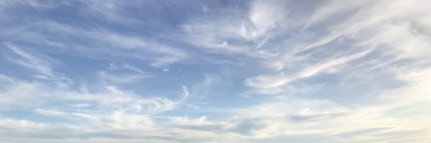 AlbertSR banner