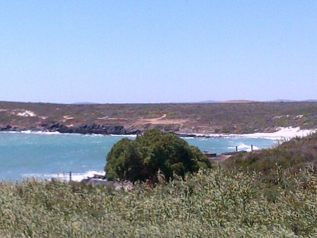 Pearl Solomon banner