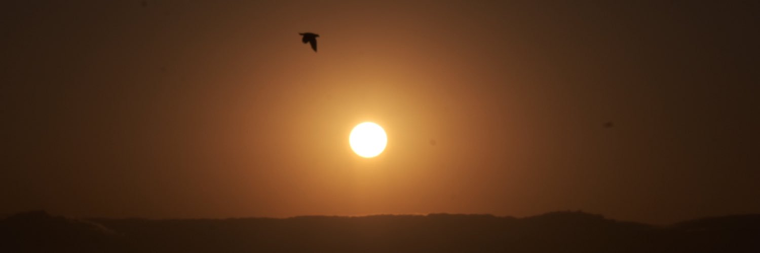 Takotak's profile banner image
