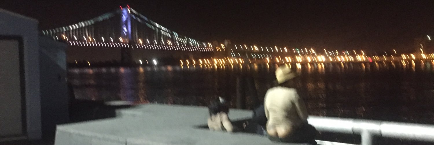 snickidoodlee's profile banner image