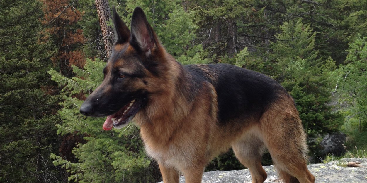 brydenvukasin's profile banner image