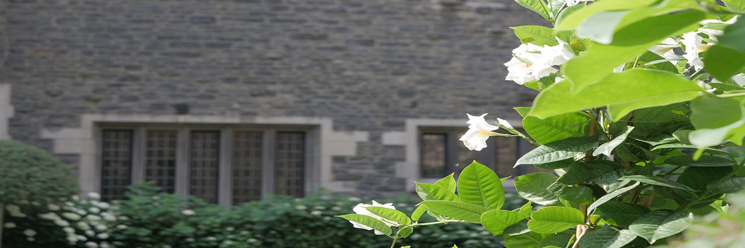 AngelaTerpstra's profile banner image