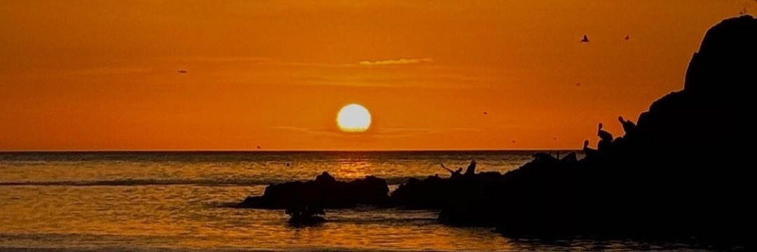 Williams Omar Barazarte Oliveros banner