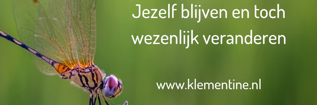 Klementine Vis banner