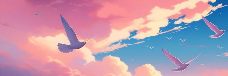 jollyyyhui's profile banner image