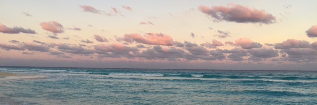 victomei's profile banner image
