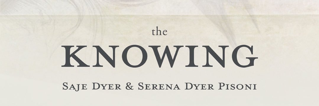 serenadyer's profile banner image